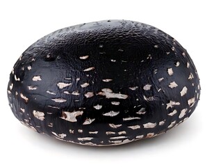 Black seed, speckled, round