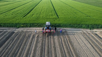 Farmers gather in a vast field overseeing agricultural work with a drone and equipment in preparation for harvesting crops and managing the fertile land