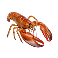 Realistic and Detailed Illustration of a Lobster on a Transparent Background for Culinary and Marine Themed Content transparent background
