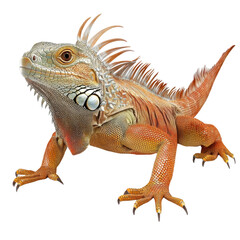 Fototapeta premium Detailed close-up view of a vibrant lizard showcasing unique colors and intricate textures in a natural setting transparent background