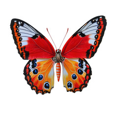 Naklejka premium Vibrant Butterfly with Red and Orange Wings Displaying Intricate Patterns Against a Solid Background transparent background