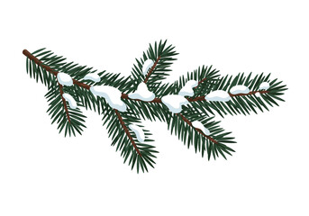 Fir branch covered in snow