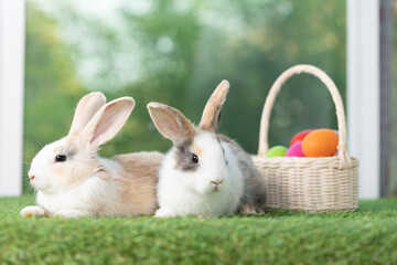 Bunny easter fluffy rabbit with basket full of colorful easter eggs on green garden nature flowers background on sunny day, Lovely mammal with bright eyes in nature life. Symbol of easter day. 
