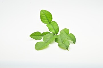 Plants, vegetables, Thai herbs, leafy vegetables, Thai herbs, food, turmeric, lemongrass, kaffir lime leaves