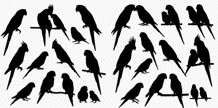 A diverse collection of black bird silhouettes, featuring various parrots and parakeets in different poses, including affectionate pairs and single birds perched.