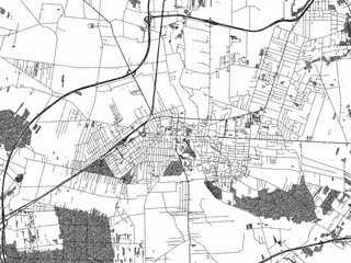 Poster-style sketch map of Pabianice, Poland, designed in artistic monochrome.