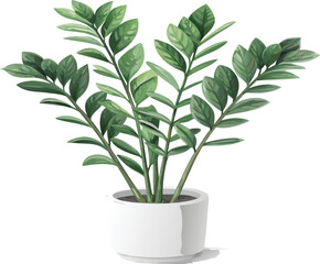 Vector art of a vibrant zamioculcas zamiifolia, commonly known as zz plant, thrives in a sleek white pot, its glossy green leaves radiating vitality, , adding a touch of natures elegance to any space
