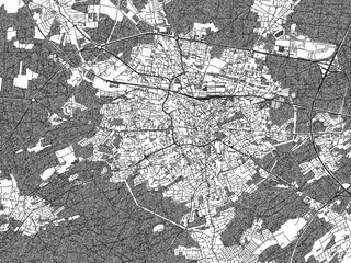 Decorative Monochrome Illustration Zielona Gora