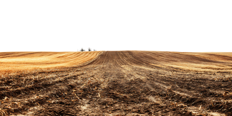 Plowed Agricultural Field Landscape Isolated on Transparent Background