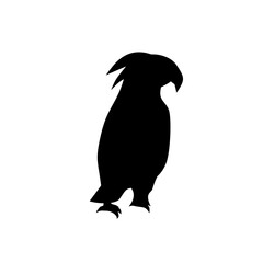 Silhouette of a Parrot 
