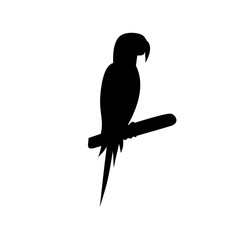 Silhouette of a Parrot 