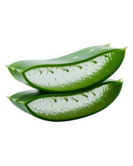 aloe vera slice transparent background, cut out