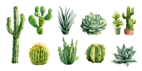 Watercolor painting of various cacti and succulents on a black background Botanical illustration of desert plants for decoration, print, or design