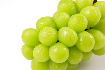 シャインマスカット 白背景　Shine Muscat on White Background