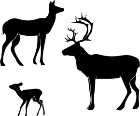 Deer Silhouettes on White Vec...