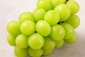 シャインマスカット　Shine Muscat (Green Seedless Grapes)