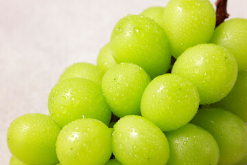 シャインマスカット　Shine Muscat (Green Seedless Grapes)