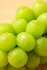 シャインマスカット　Shine Muscat (Green Seedless Grapes)