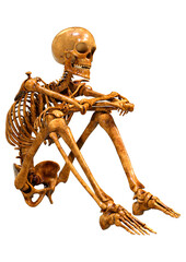 3D Rendering Human Skeleton on White
