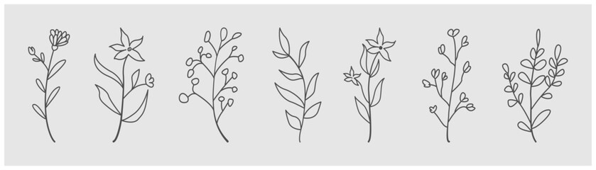 Botanical line drawing vector. Abstract floral art collection.