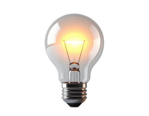 Illuminated lightbulb against black background (2)