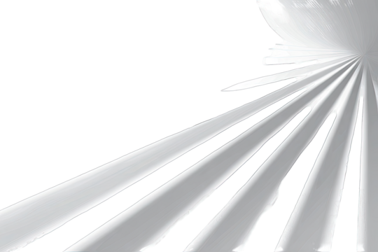 Abstract grayscale lines radiating outwards