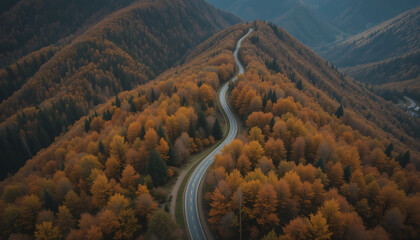 Scenic aerial view of a winding road snaking through a dense mountain forest covered in vibrant autumn foliage