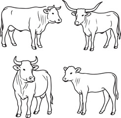 Fototapeta premium Line art cattles