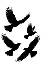 Obraz premium Abstract circular design of light gray lines and spots on a black background