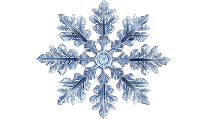 Detailed, intricate snowflake