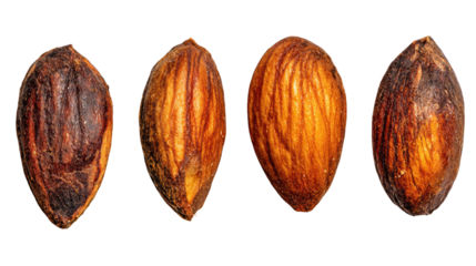 Assortment of almonds, whole, sliced, and silvered for culinary snacking delights