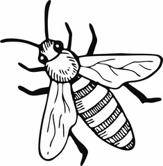 Flying bee drawing winged ins...