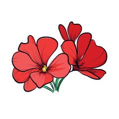 Red geranium flowers bouquet vector illustration