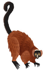 raster image of a red lemur on a transparent background © Olga
