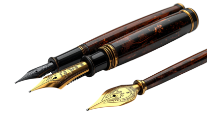 Two elegant fountain pens with intricate detailing