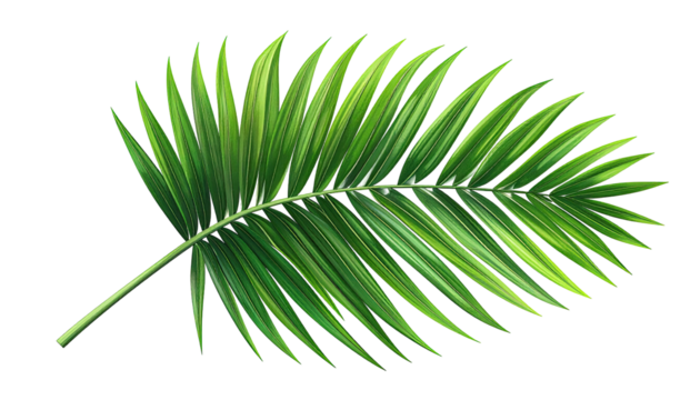 Vibrant palm leaf illustration