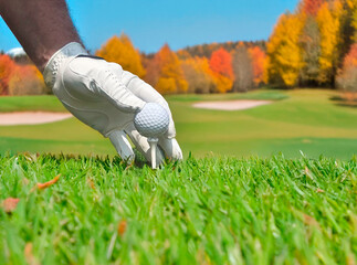 Golfer teeing up golf ball on hole of golf course in Autumn.