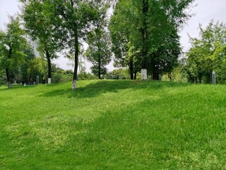 Lush Green Lawn with Trees: A Park's Verdant Landscape,Panoramic background texture of a landscaped green outdoor space with expansive vacant recreational ground