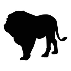 Very fierce and handsome black lion silhouette vector