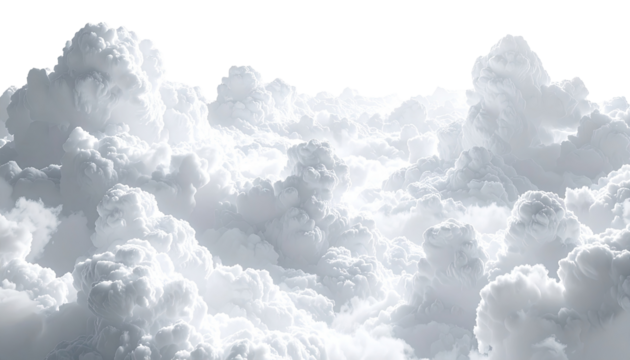 A panoramic view of dense, white clouds