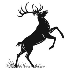 silhouette of a deer