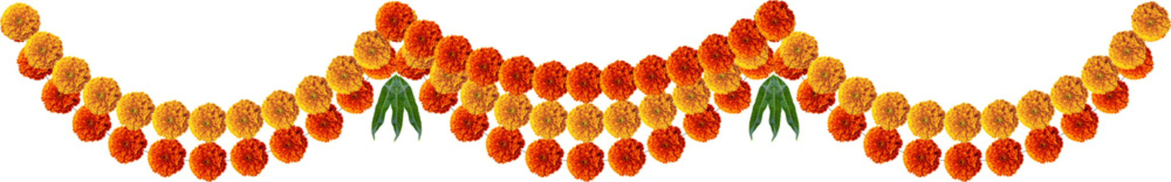 Marigold hanging flowers with mango leafs decorative festive element