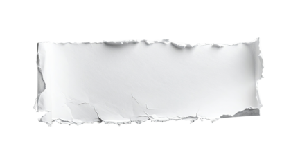 Ripped piece of white paper (1)