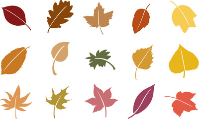 Autumn Leaves Icon Vector Set. Seasonal Leaf Collection for Education, Design, Branding, and Environmental Projects