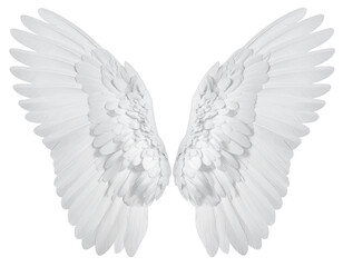 Obraz premium Pair of white angel wings (3)