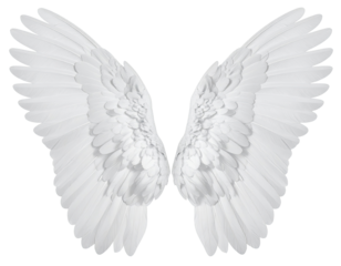 Pair of white angel wings (3)
