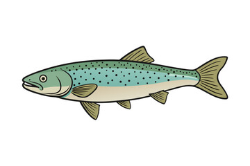 fish on white background