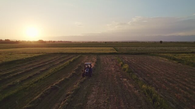 Aerial view of tractor with hay tedders in a field at sunset with golden light.
Tedder for tractor. The machine for gathering hay.