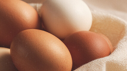 eggs