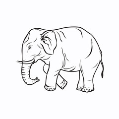 Elegant Elephant Line Drawing in Minimalist Black and White Vector Style